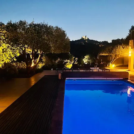 Leopard Nocleg ze śniadaniem