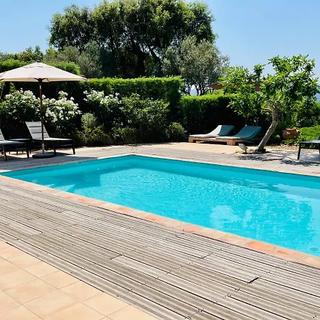 Leopard Bed & Breakfast