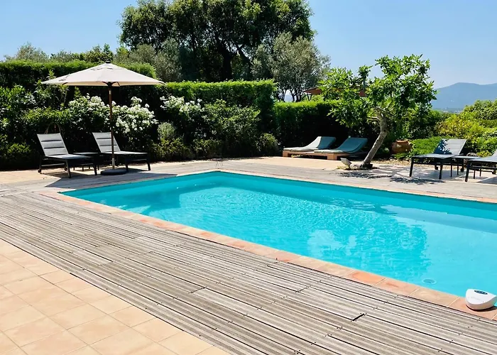 Leopard Bed & Breakfast